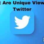 What Are Unique Views On Twitter