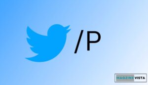 What Does /P Mean Twitter